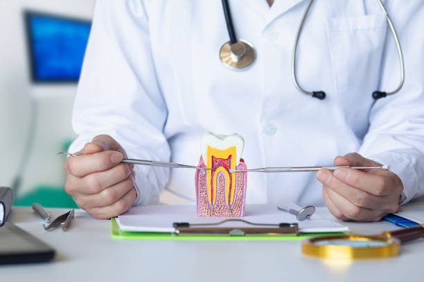 Best Emergency Wisdom Teeth Removal in Peoria Heights, IL